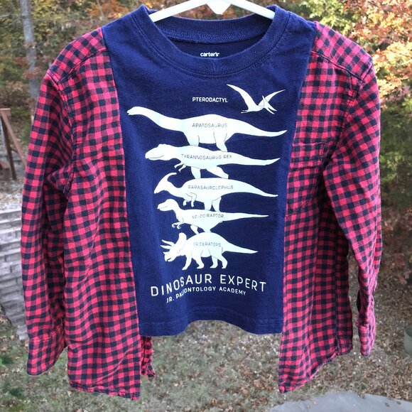 Upcycled Kid’s Flannel Tee: Dinosaur Graphic T-Shirt w/Flannel Sleeves, Size 2-4 - Picture 3 of 9